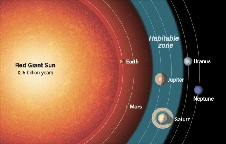 The Sun's habitable zone as a red giant